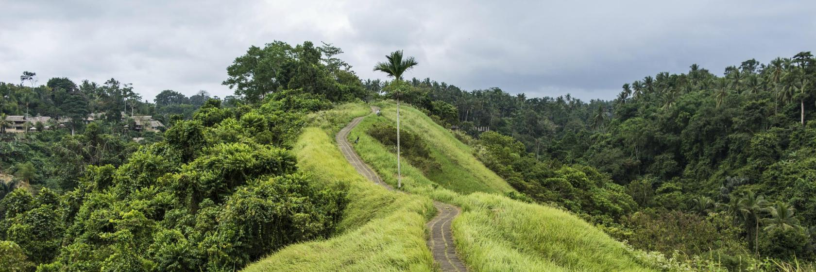 Passeggiata Campuhan Ridge Walk